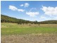 338 Blacksprings Road, Mudgee NSW 2850