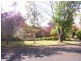 Mudgee NSW 2850