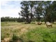 Mudgee NSW 2850