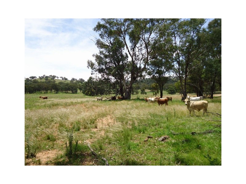 Mudgee NSW 2850