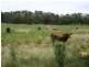 Mudgee NSW 2850