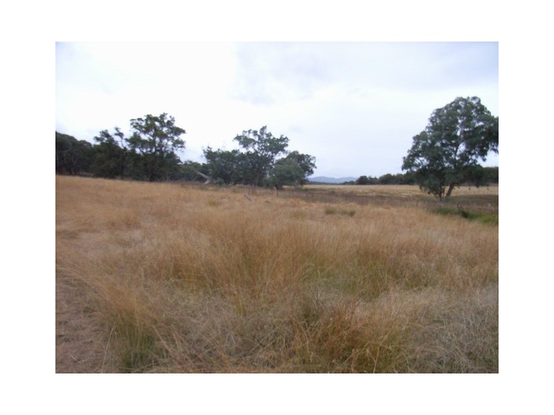 Mudgee NSW 2850