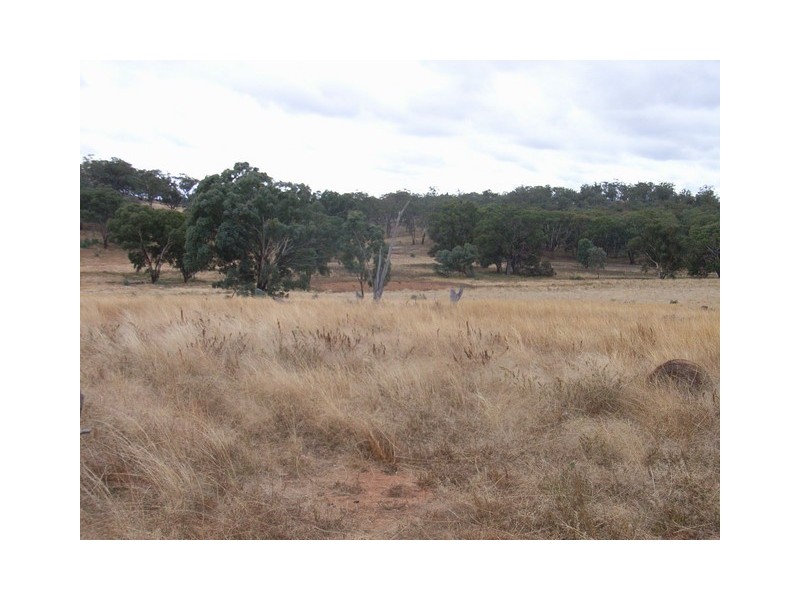 Mudgee NSW 2850