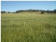 Mudgee NSW 2850