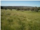 Mudgee NSW 2850