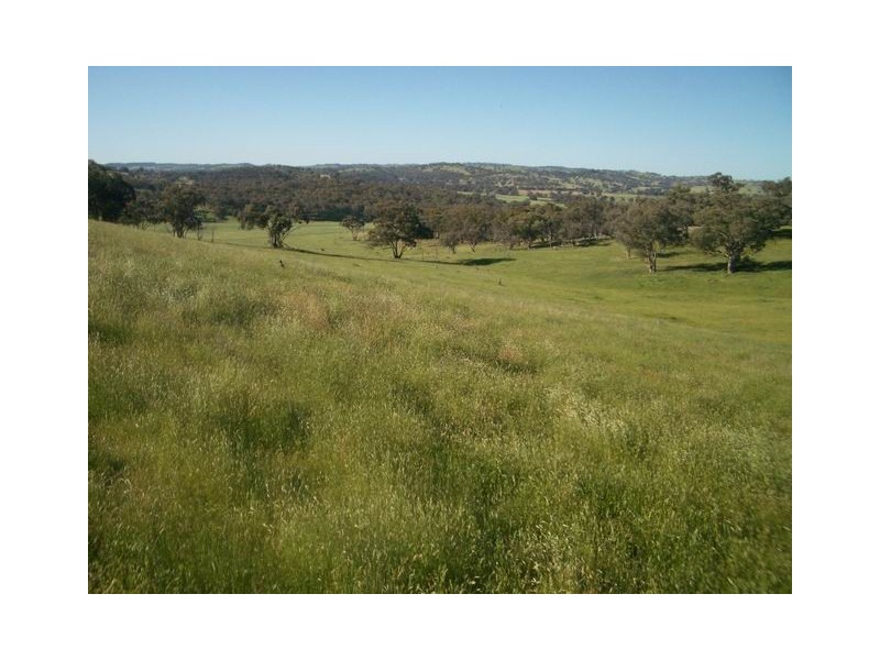Mudgee NSW 2850
