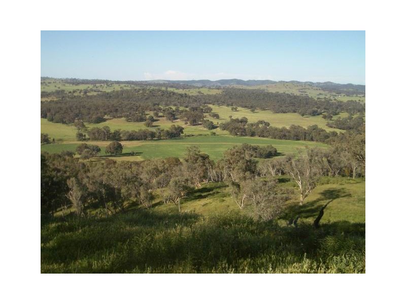 Mudgee NSW 2850