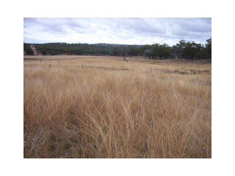 Mudgee NSW 2850