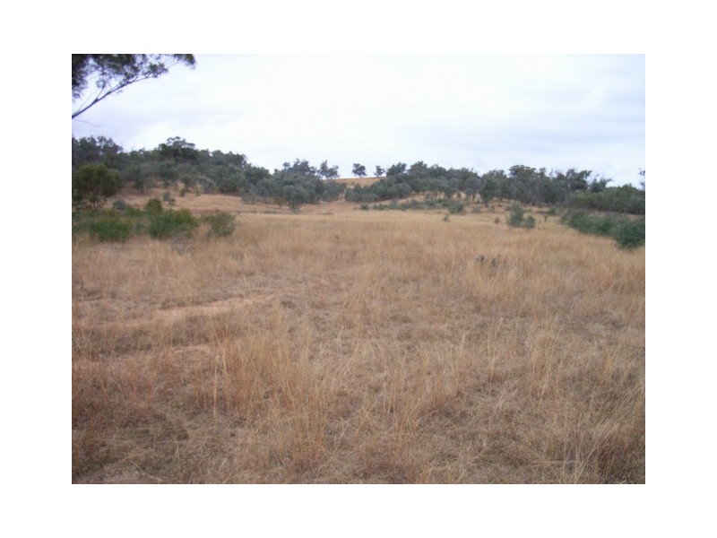 Mudgee NSW 2850