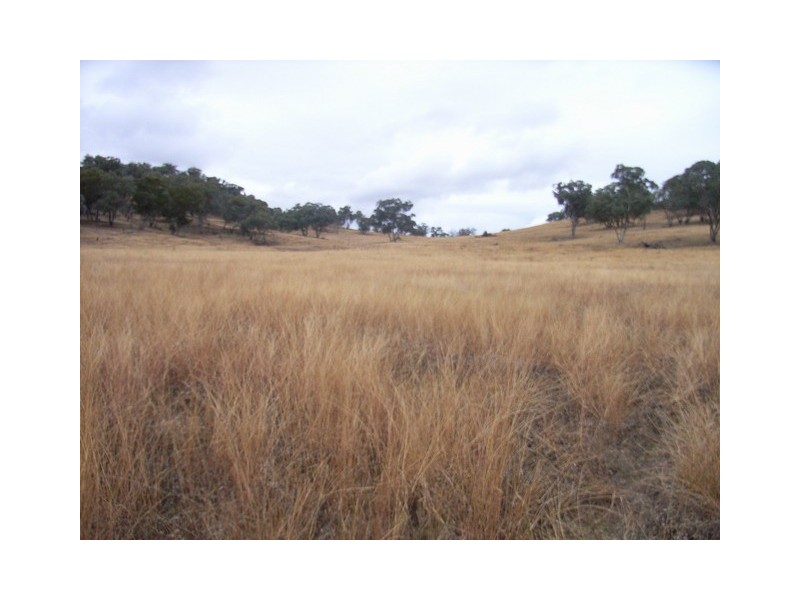 Mudgee NSW 2850