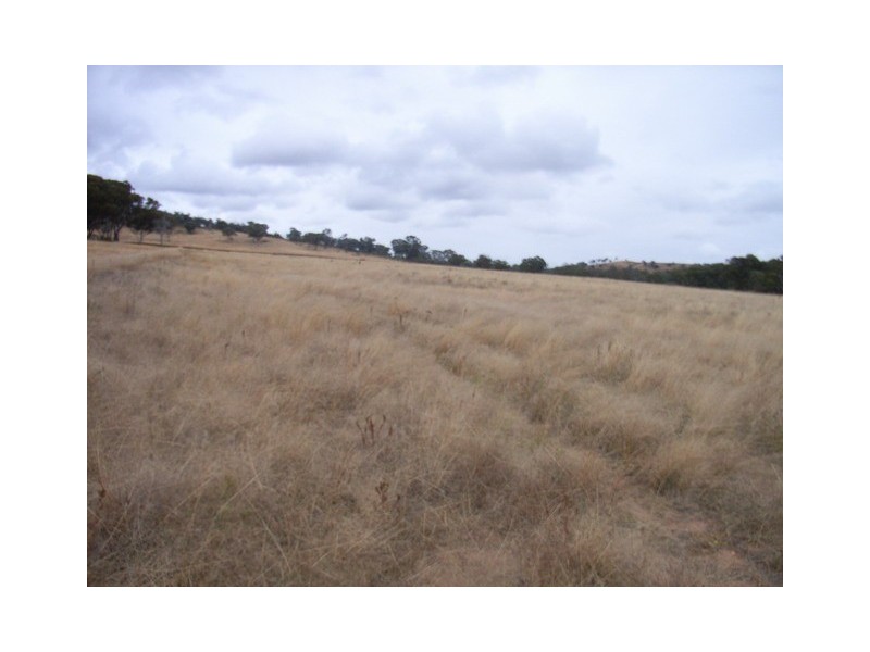 Mudgee NSW 2850