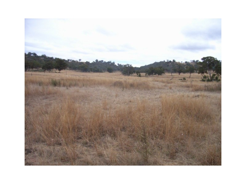 Mudgee NSW 2850