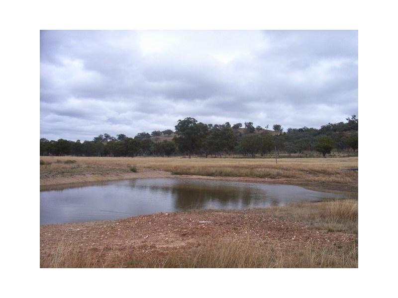 Mudgee NSW 2850
