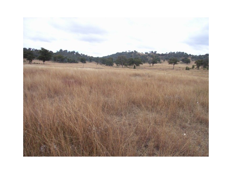 Mudgee NSW 2850