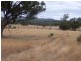 Mudgee NSW 2850