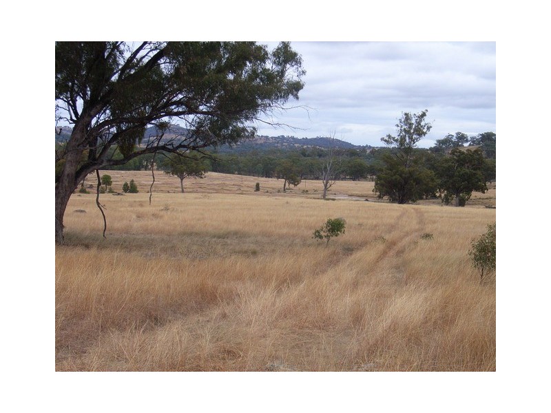 Mudgee NSW 2850