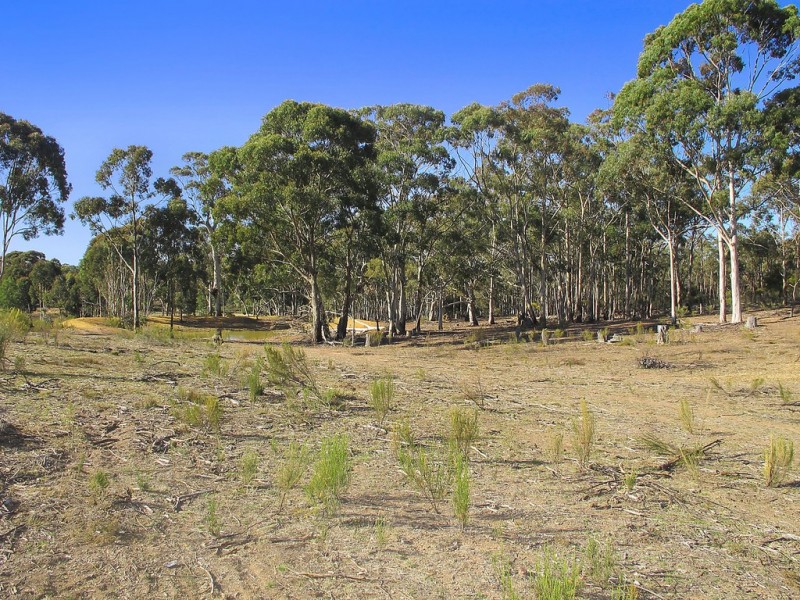149 Suzanne Road, Mudgee NSW 2850