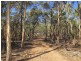 149 Suzanne Road, Mudgee NSW 2850