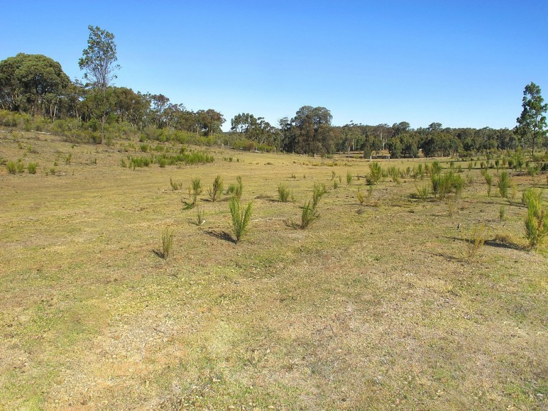 149 Suzanne Road, Mudgee NSW 2850