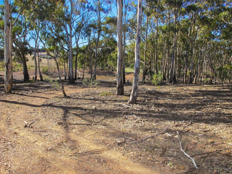 149 Suzanne Road, Mudgee NSW 2850