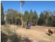 304 Cypress Drive, Yarrawonga NSW 2850