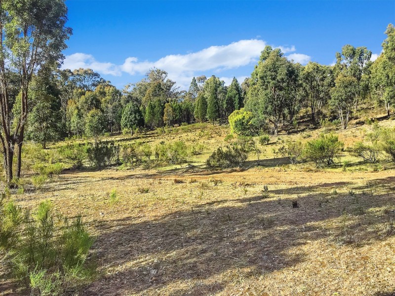 Lot 162 Buckaroo Road, Mudgee NSW 2850