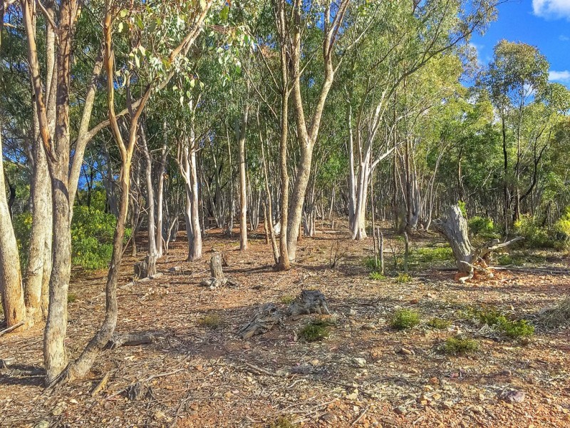 Lot 162 Buckaroo Road, Mudgee NSW 2850