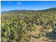 Lot 162 Buckaroo Road, Mudgee NSW 2850