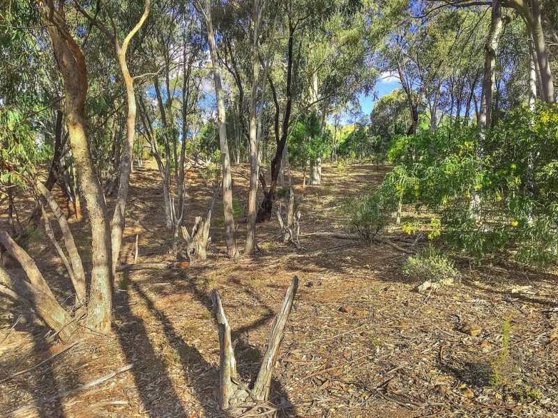 Lot 162 Buckaroo Road, Mudgee NSW 2850