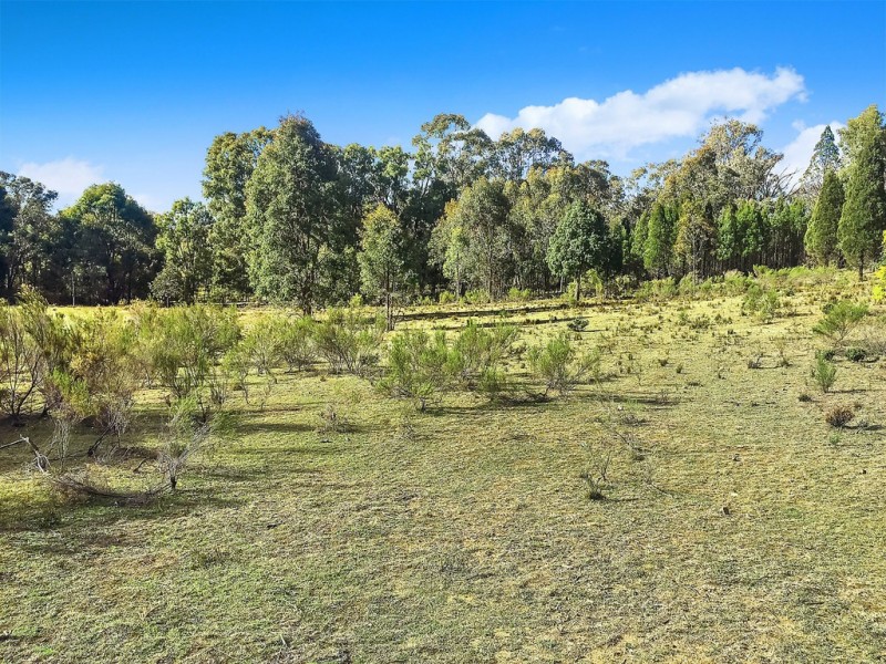 Lot 162 Buckaroo Road, Mudgee NSW 2850