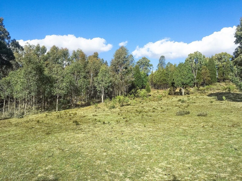 Lot 162 Buckaroo Road, Mudgee NSW 2850