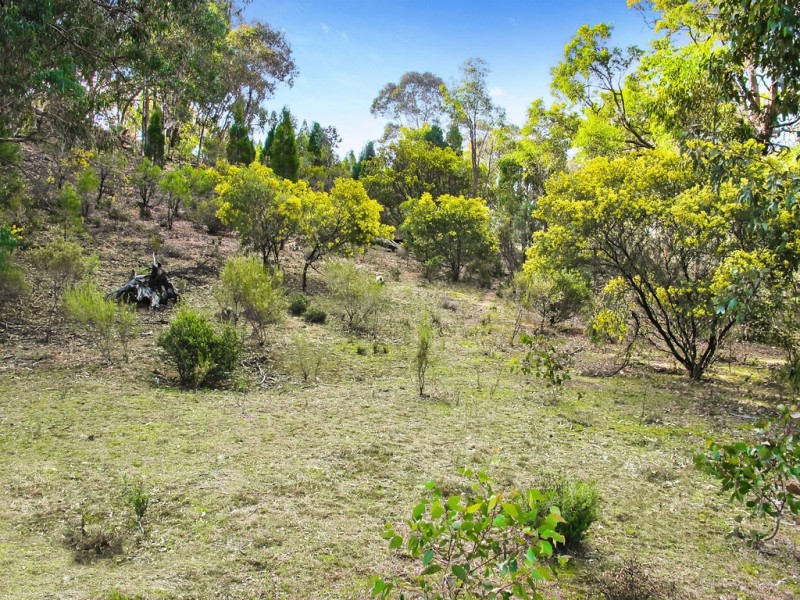 Lot 189 Buckaroo Road, Mudgee NSW 2850