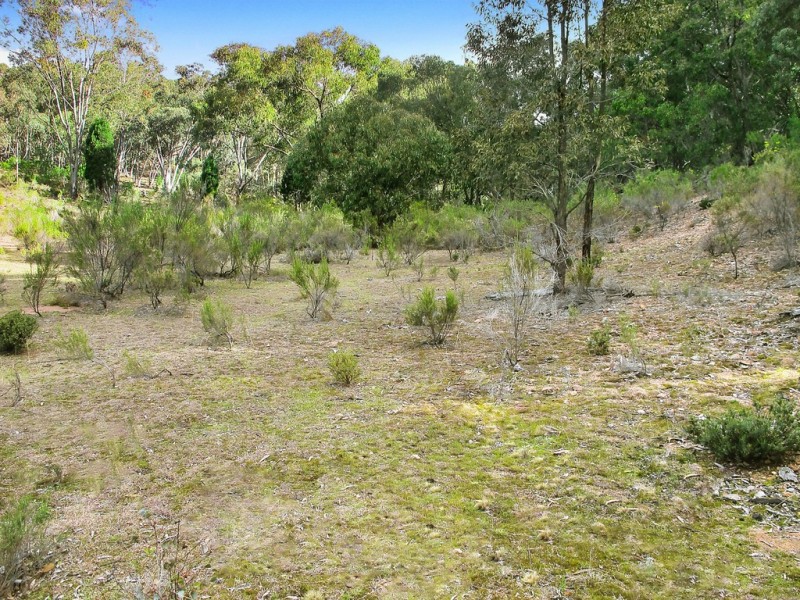 Lot 189 Buckaroo Road, Mudgee NSW 2850