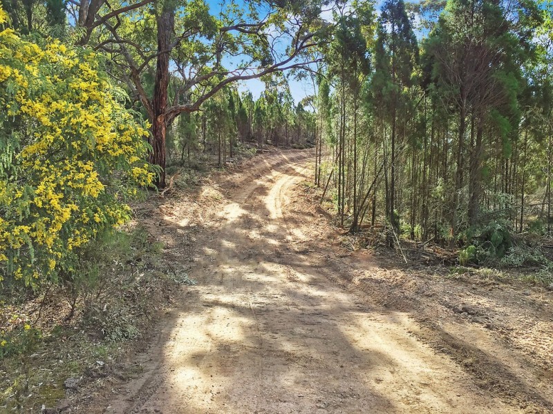 Lot 189 Buckaroo Road, Mudgee NSW 2850