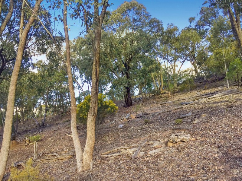 Lot 189 Buckaroo Road, Mudgee NSW 2850