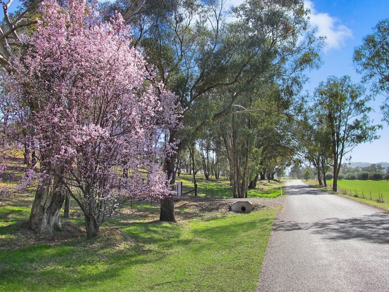 Lot 8, 206 Lesters Lane, Mudgee NSW 2850