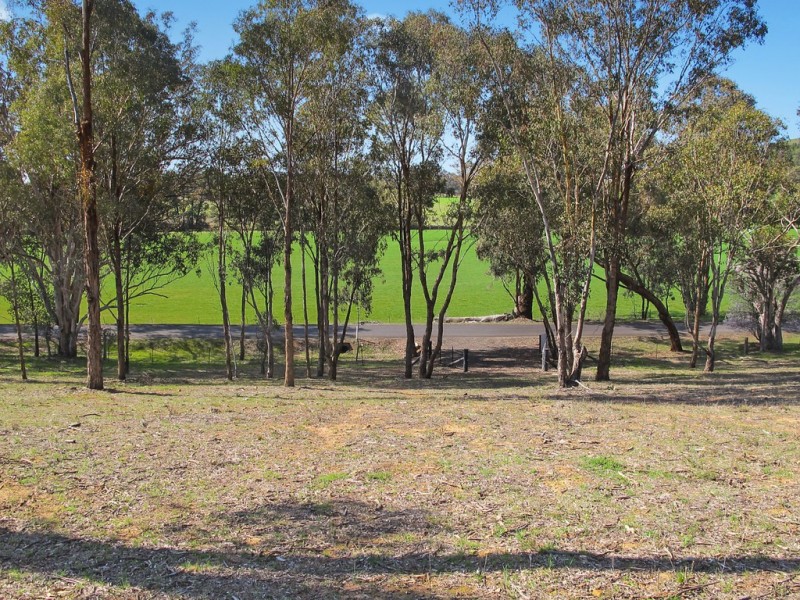 Lot 8, 206 Lesters Lane, Mudgee NSW 2850