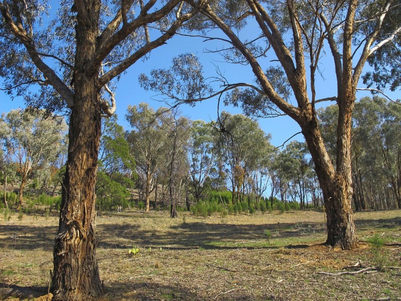 Lot 8, 206 Lesters Lane, Mudgee NSW 2850