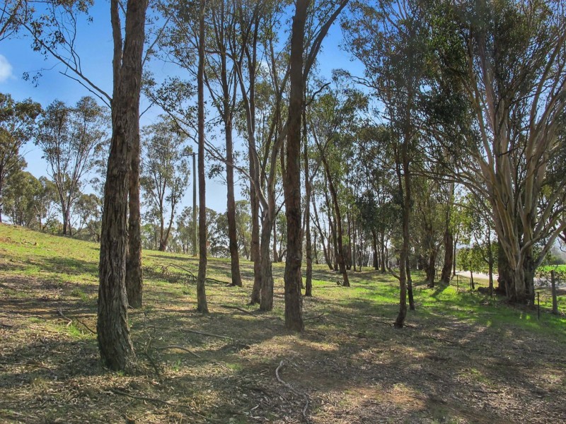 Lot 8, 206 Lesters Lane, Mudgee NSW 2850