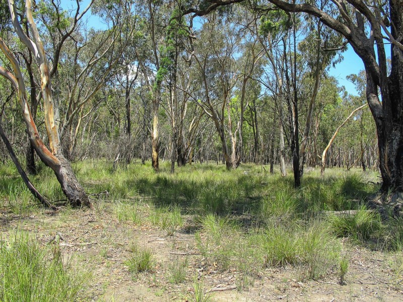 270 Cypress Drive, Mudgee NSW 2850