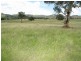 Mudgee NSW 2850