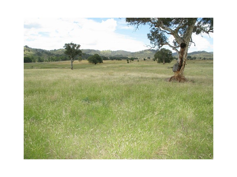 Mudgee NSW 2850
