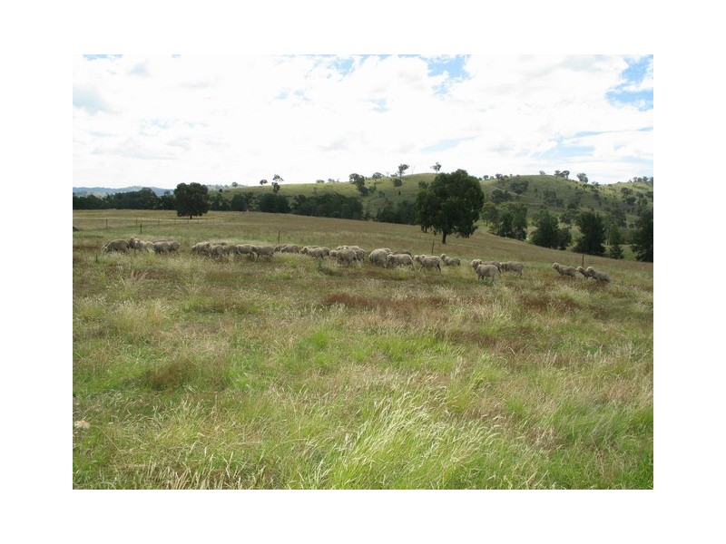 Mudgee NSW 2850