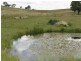 Mudgee NSW 2850