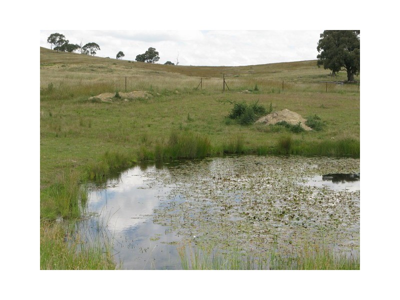 Mudgee NSW 2850