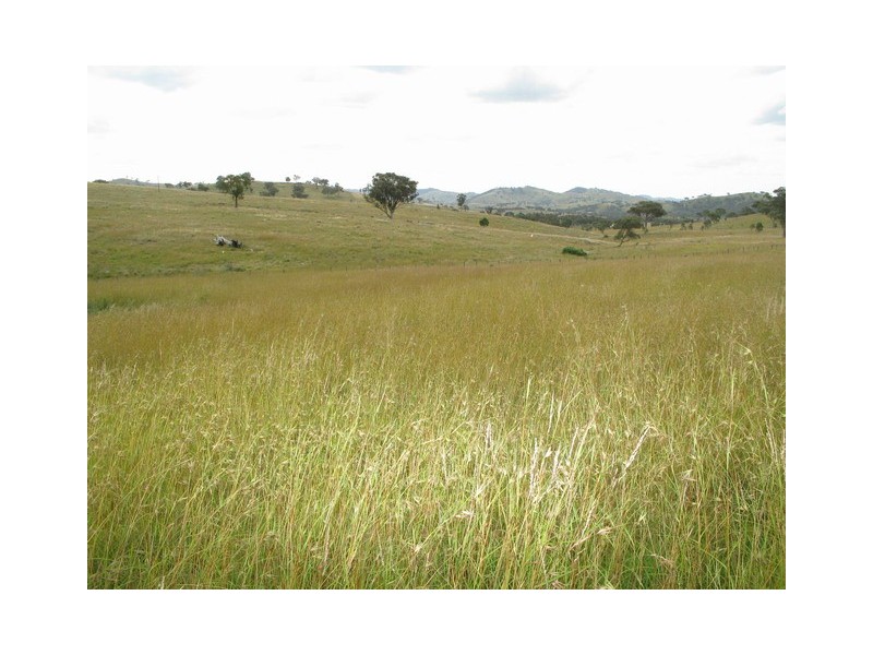 Mudgee NSW 2850