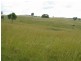 Mudgee NSW 2850
