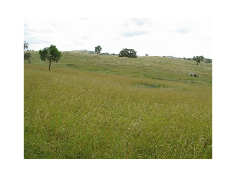 Mudgee NSW 2850