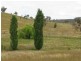 Mudgee NSW 2850