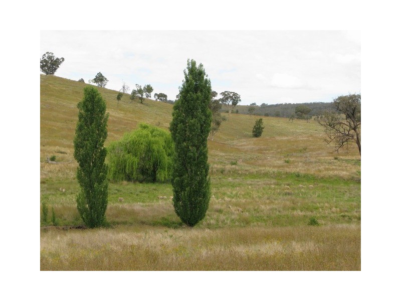 Mudgee NSW 2850